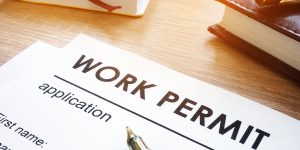 Xin giấy phép lao động cho người nước ngoài (work permit)