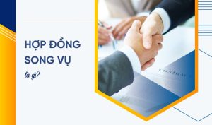 Hợp đồng song vụ là gì? Tải miễn phí mẫu hợp đồng song vụ