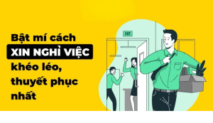 Top 8 lý do xin nghỉ việc hợp lý, khéo léo & thuyết phục sếp