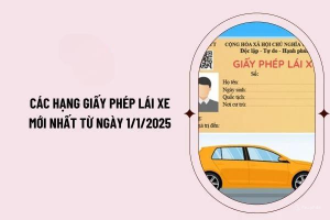 15 Phân Hạng Giấy Phép Lái Xe mới áp dụng từ 01/01/2025