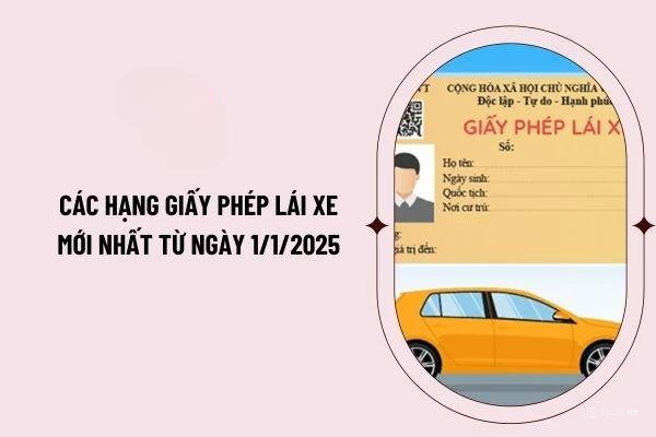 15 Phân Hạng Giấy Phép Lái Xe mới áp dụng từ 01/01/2025
